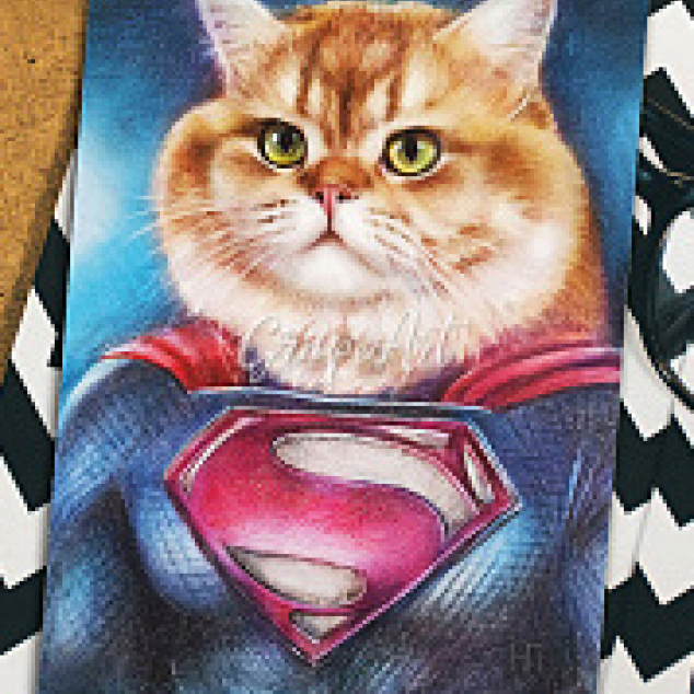 Ansichtkaart Super Cat. 